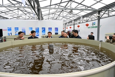 绿意盎然的科技盛会 欢迎德清县长王波一行莅临百源康鱼菜共生植物梦工厂调研指导