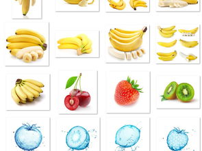 精品高清果蔬图片与水果合成图素材 模板下载指南与素材大全