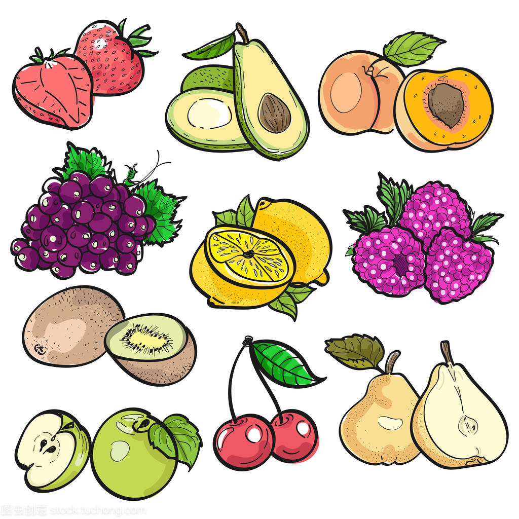 果香四溢 白色背景下的水果彩色涂鸦矢量插图